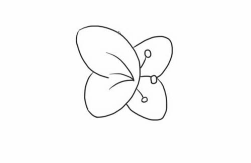 蝴蝶兰简笔画