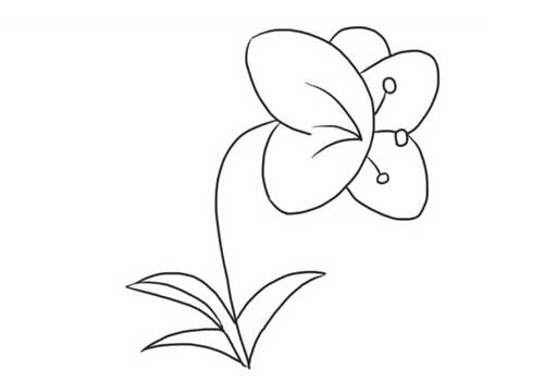 蝴蝶兰简笔画