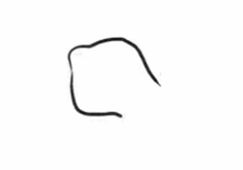 栀子花简笔画步骤教程