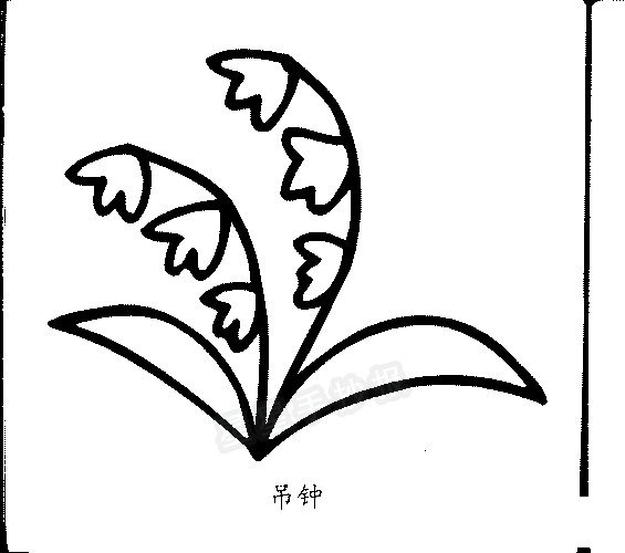 吊钟简笔画