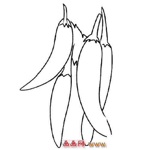 简笔画：一堆辣椒3