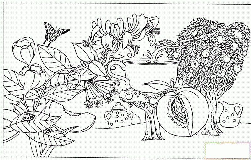 树叶、桃子、蝴蝶、甲虫简笔画