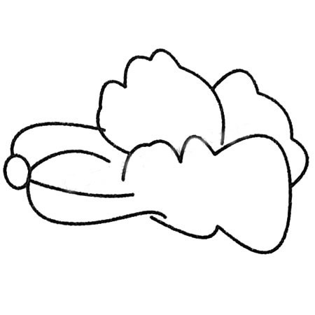 白菜简笔画大全及画法步骤