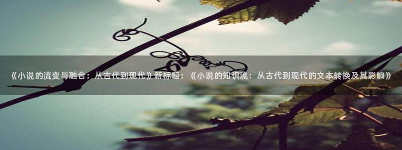 七猫