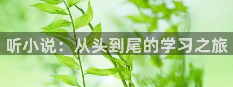 七猫免费阅读